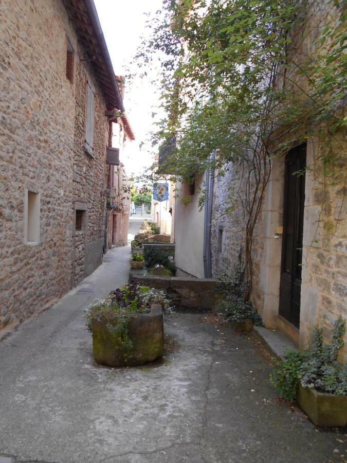 Villa 7 Rue Droite Saint-Antonin Exterior foto